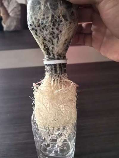 年销售量三十万吨的有机肥生产厂家，全国网点发货，资质齐全，正品保障！有机肥、生物菌肥、微生物肥料等