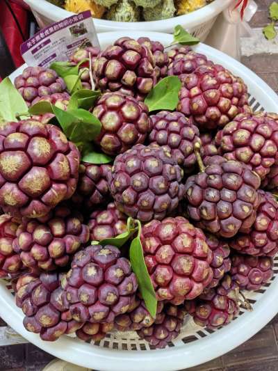 认水果，有认识的吗？