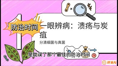第三节：细菌与真菌&mdash;&mdash;溃疡病与炭疽病，课程：《柑橘十大病虫害：从入门到精通》
