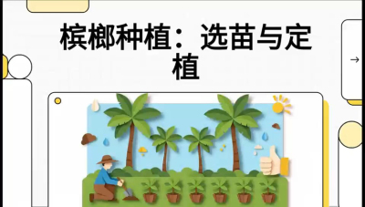 第01节：选苗与定植&mdash;&mdash;&ldquo;苗好一半收，底肥定千秋&rdquo;课程：《槟榔种植：从不懂到精通的10堂必修课》