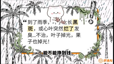 第05节：常见真菌病害&mdash;&mdash;&ldquo;炭疽与烂心，早防值千金&rdquo;《槟榔种植：从不懂到精通的10堂必修课》