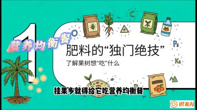 第07节：科学施肥&mdash;&mdash;&ldquo;氮磷钾配好，树壮果不倒