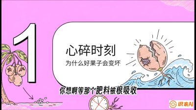 第08节：微量元素与保果&mdash;&mdash;&ldquo;补硼又补钙，果子不裂坏&rdquo;《槟榔种植：从不懂到精通的10堂必修课》