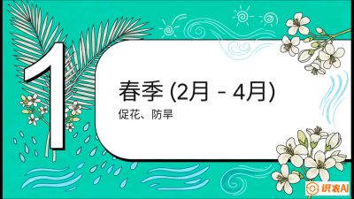 第10节：周年农事日历&mdash;&mdash;&ldquo;跟着节气走，丰产在手头&rdquo;《槟榔种植：从不懂到精通的10堂必修课》