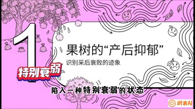 第2节：【冬肥策略】采后&ldquo;月子肥&rdquo;：大小年的精准干预术，课程：《柑橘底肥&ldquo;翻身账&rdquo;：从改土到高产的实战全书》