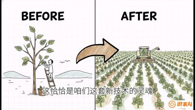 第02节：把树变成草&mdash;&mdash;&ldquo;草本化密植&rdquo;技术，课程：《桑海淘金：桑树高产与蚕桑安全进阶实战课》