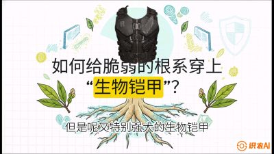 第三节：国产榴莲突围战：根系堡垒，菌根微生态构建与黄金定植窗口，课程：《国产榴莲突围战：从泰国经验到中国实操的8堂必修课（高阶实战版）》