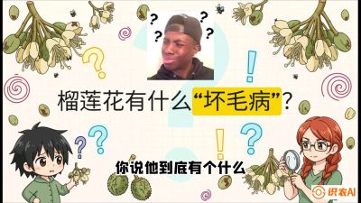 第六节：榴莲的午夜战事，夜间授粉战与花果期避雨策略，课程：《国产榴莲突围战：从泰国经验到中国实操的8堂必修课（高阶实战版）》