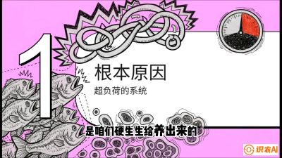 第三节：【爆款单品&middot;加州鲈】从&ldquo;玻璃鱼&rdquo;到&ldquo;摇钱树&rdquo;的通关秘籍，课程：《黄金鳞甲：2025中国淡水鱼高效养殖实战营》