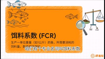第五节：【高端单品&middot;鳜鱼】&ldquo;饲料鳜&rdquo;技术：打破吃活饵的高成本魔咒，课程：《黄金鳞甲：2025中国淡水鱼高效养殖实战营》