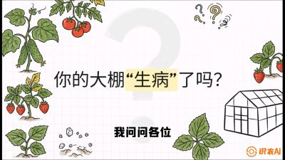 第2节（解毒篇）： 大棚里的&ldquo;红白绿&rdquo;警报&mdash;&mdash;读懂土壤盐渍化的求救信号，课程：《揭秘土壤的秘密：让土地帮你赚钱》#识农AI