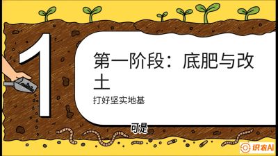 第6节（统筹篇）： 省钱又增产的&ldquo;黄金配比&rdquo;&mdash;&mdash;不同作物全年的养土实操方案，课程：《揭秘土壤的秘密：让土地帮你赚钱》#识农AI