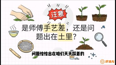 第02节（土肥篇）：告别&ldquo;苦涩水味&rdquo;：揭秘&ldquo;碳氮比&rdquo;调控术，种出自带兰花香的好茶底，课程：《茶金时代：从&ldquo;看天吃饭&rdquo;到&ldquo;精准控局&rdquo;的茶叶高产提质实战课》