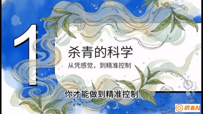 第05节（加工篇）：决胜2分钟：用&ldquo;数字温控&rdquo;破解杀青不匀，复刻大师级手工口感，课程：《茶金时代：从&ldquo;看天吃饭&rdquo;到&ldquo;精准控局&rdquo;的茶叶高产提质实战课》