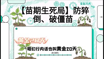 第2节：【苗期生死局】防猝倒、破僵苗，决定后期产量的&ldquo;黄金20天&rdquo;，课程：《辣椒种植实战特训营，从工业辣椒到精品小米辣，教你如何把&ldquo;草&rdquo;种成&ldquo;金&rdquo;》