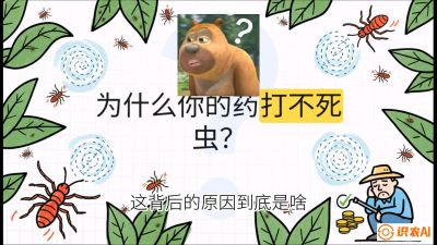 第4节：【虫害歼灭战】打不死的蓟马、隐形的茶黄螨：抗性时代的&ldquo;混配绝杀&rdquo;，课程：《辣椒种植实战特训营，从工业辣椒到精品小米辣，教你如何把&ldquo;草&rdquo;种成&ldquo;金&rdquo;》