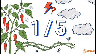 第6节：【花果爆发术】落花落果的五大元凶，与&ldquo;三喷一保&rdquo;坐果黑科技，课程：《辣椒种植实战特训营，从工业辣椒到精品小米辣，教你如何把&ldquo;草&rdquo;种成&ldquo;金&rdquo;》