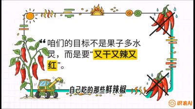 第7节：【工业辣椒专场】追求极致辣度！干物质提升与机械化采收的&ldquo;催红秘籍&rdquo;，课程：《辣椒种植实战特训营，从工业辣椒到精品小米辣，教你如何把&ldquo;草&rdquo;种成&ldquo;金&rdquo;》