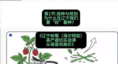 第一节： 选种与规划&mdash;&mdash;为什么在辽宁我们要&ldquo;砍&rdquo;着种？，课程：《辽宁树莓（海尔特兹）高产避坑实战课：从保苗到高价》