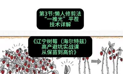 第三节： 懒人修剪法&mdash;&mdash;&ldquo;一推光&rdquo;平茬技术详解，课程：《辽宁树莓（海尔特兹）高产避坑实战课：从保苗到高价》