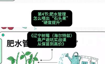 第四节： 肥水管理&mdash;&mdash;怎么喂出&ldquo;石头果&rdquo;（硬度提升），课程：《辽宁树莓（海尔特兹）高产避坑实战课：从保苗到高价》
