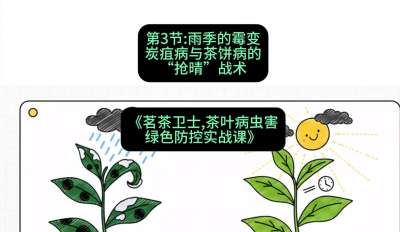 第03节：雨季的霉变&mdash;&mdash;炭疽病与茶饼病的&ldquo;抢晴&rdquo;战术，课程：《茗茶卫士&mdash;&mdash;茶叶病虫害绿色防控实战课》#识农AI