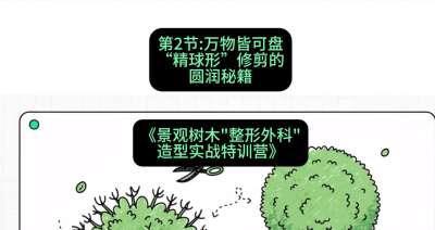 第02节：万物皆可盘&mdash;&mdash;&ldquo;精球形&rdquo;修剪的圆润秘籍，课程：《景观树木&ldquo;整形外科&rdquo;造型实战特训营》#识农AI
