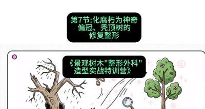 第07节：化腐朽为神奇&mdash;&mdash;偏冠、秃顶树的修复整形，课程：《景观树木&ldquo;整形外科&rdquo;造型实战特训营》#识农AI