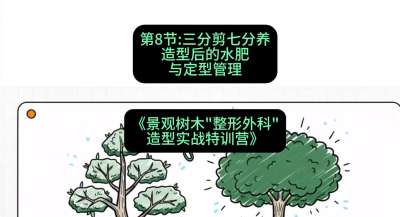 第08节：三分剪七分养&mdash;&mdash;造型后的水肥与定型管理，课程：《景观树木&ldquo;整形外科&rdquo;造型实战特训营》#识农AI