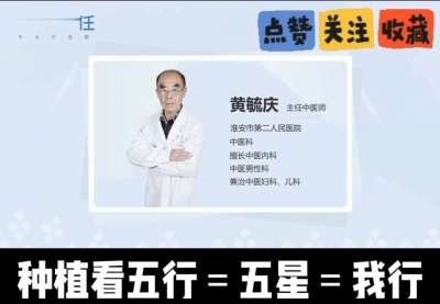 中药材淫羊藿怎么种？听专家一次讲明白！不挑地块好管理，耐寒耐旱省心省力，新手也能轻松上手，药用价值高、市场需求稳，妥妥的增收好品种～ 从生长习性到采收要点，干货满满无废话，种植疑问直接问，一对一答疑解
