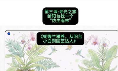 第三节：寻光之旅：给阳台找一个&ldquo;仿生雨林&rdquo;，课程：《蝴蝶兰雅养六讲：从阳台小白到园艺达人》#识农AI