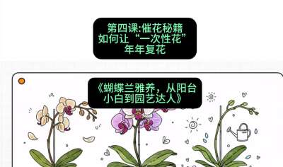 第四节：催花秘籍：如何让&ldquo;一次性花&rdquo;年年复花，课程：《蝴蝶兰雅养六讲：从阳台小白到园艺达人》#识农AI