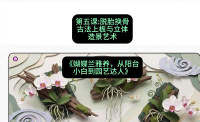 第五节：脱胎换骨：古法上板与立体造景艺术，课程：《蝴蝶兰雅养六讲：从阳台小白到园艺达人》#识农AI